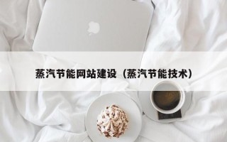 六安蒸汽节能网站建设（蒸汽节能技术）